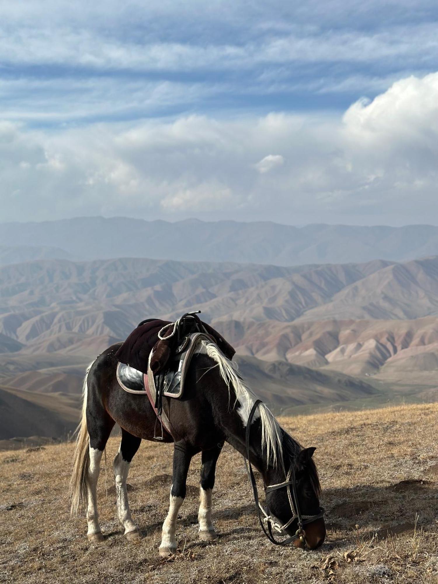 Bagysh Yurt Camp Azamat At Song Kol Lake מראה חיצוני תמונה