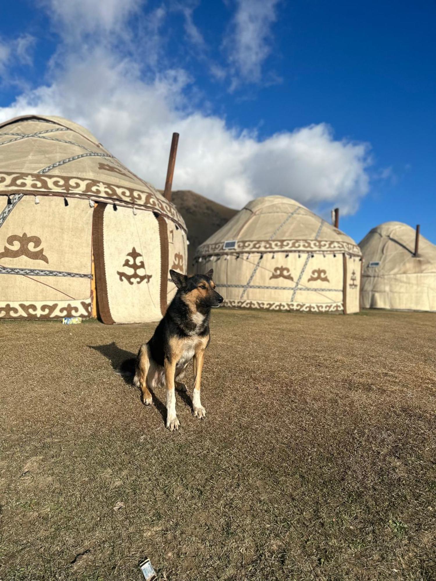 מלון Bagysh Yurt Camp Azamat At Song Kol Lake מראה חיצוני תמונה
