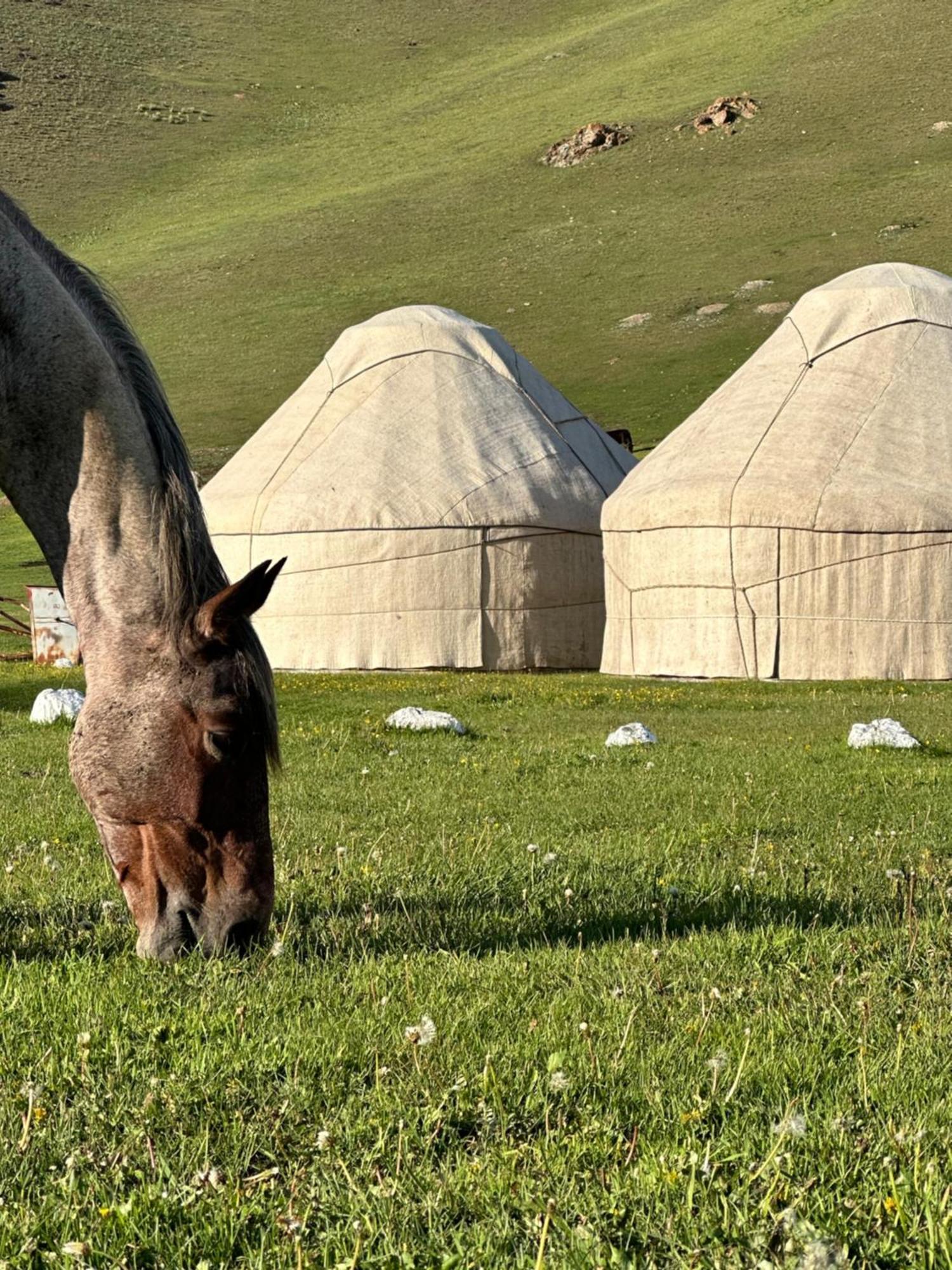 Bagysh Yurt Camp Azamat At Song Kol Lake מראה חיצוני תמונה