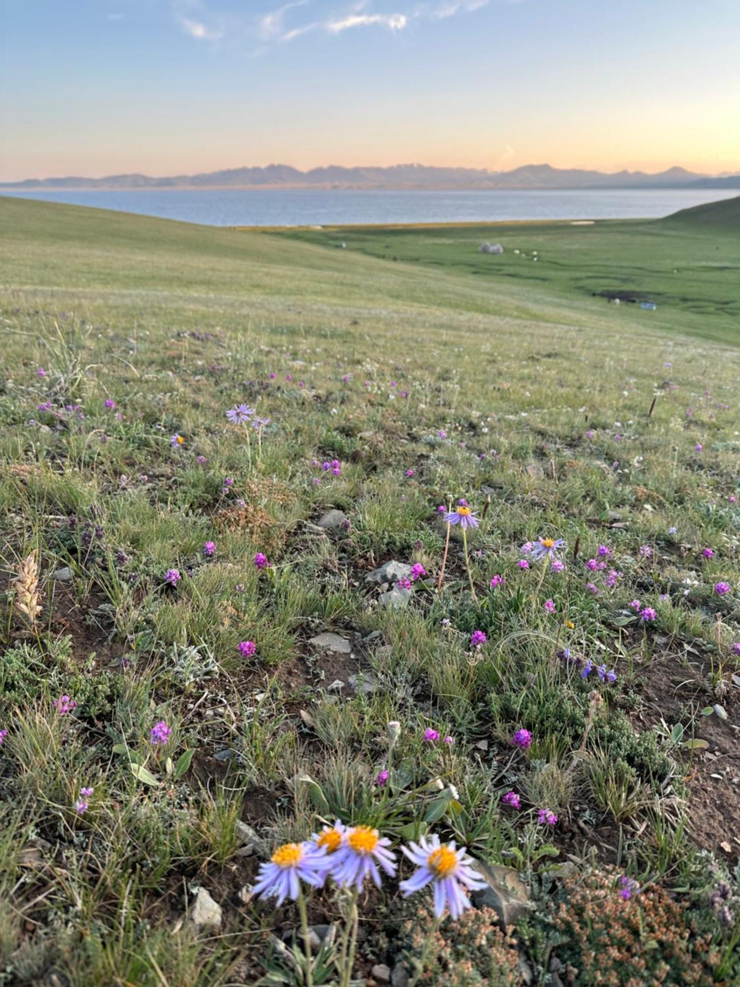מלון Bagysh Yurt Camp Azamat At Song Kol Lake מראה חיצוני תמונה
